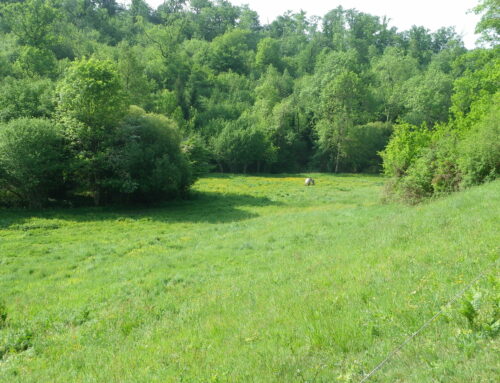 les sorties de la Vallée de la Renaudie 2025