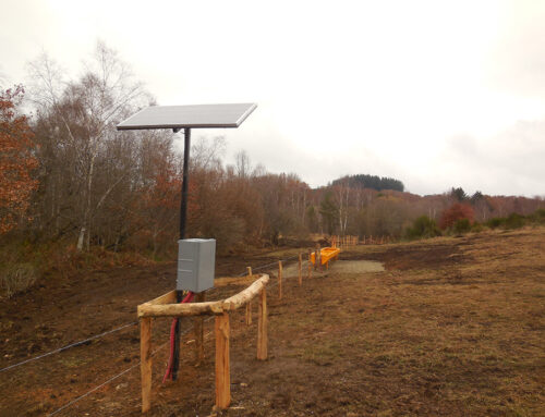 Installation d’un abreuvoir solaire ! Une première pour l’équipe travaux (19)
