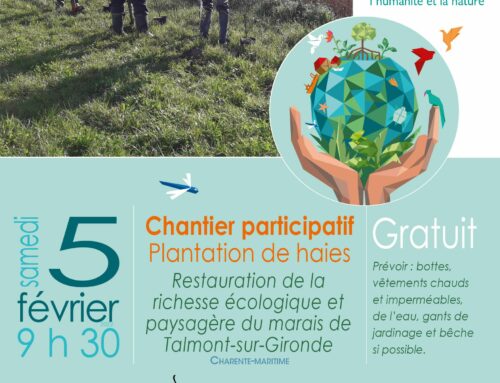 05/02/2022 – chantier participatif de plantation de haies  – Journée mondiale des zones humides- (17)
