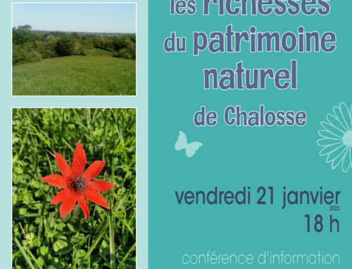 21/01/2022 – Venez découvrir les richesses du patrimoine naturel de Chalosse (40)