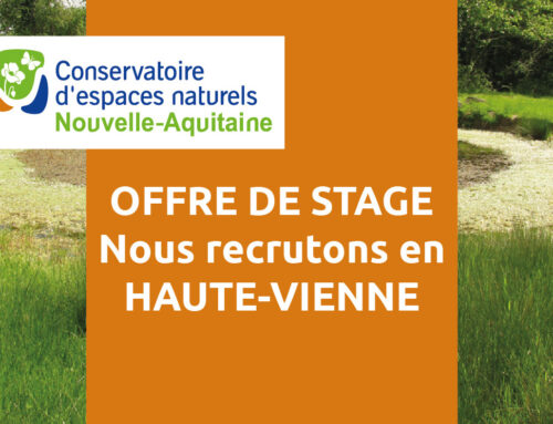 Offre de stage : Inventaire de zones humides et propositions de gestion en Haute-Vienne