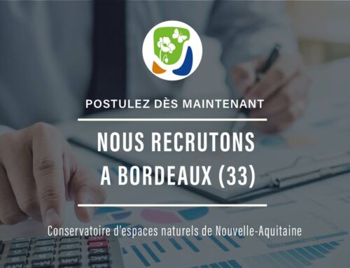 Offre d’emploi : responsable d’antenne en Gironde (33)