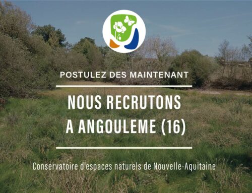 Offre d’emploi : Chargé(e) de missions – CDD 12 mois – Charente