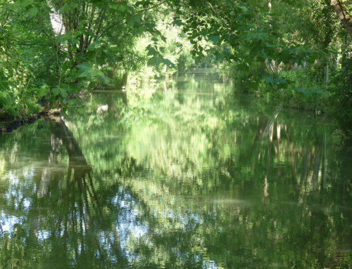 Acquisition de 22 ha sur plusieurs sites du Marais Poitevin