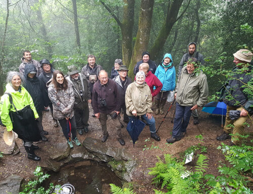 Sortie naturaliste inter-associative au Mont-Gargan (87)