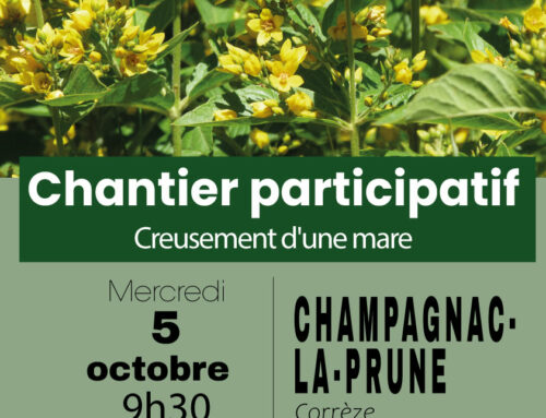 05/10/2022 Chantier participatif à Champagnac-la-Prune (19)