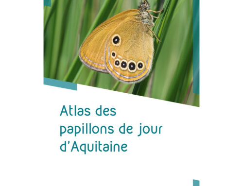 Atlas des papillons de jour d’Aquitaine : il vient de sortir !