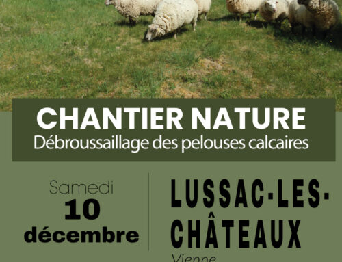 10/12/2022 Chantier Nature à l’Arrault (86)