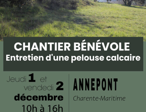 1 et 2/12/2022 Chantier bénévole : Entretien d’une pelouse calcaire à Annepont (17)