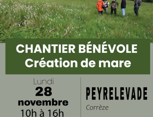 28/11/2022 chantier bénévole – création de mare à Peyrelevade (19)