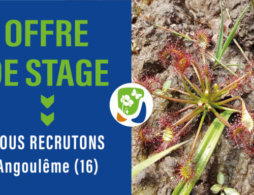 Offre de stage : Inventaires faune-flore sur des sites de zones humides du Nord Charente (16)