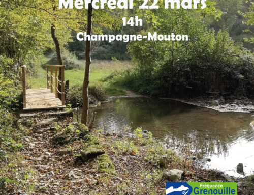 22/03/2023 Découverte des fritillaires à Champagne-Mouton (16)