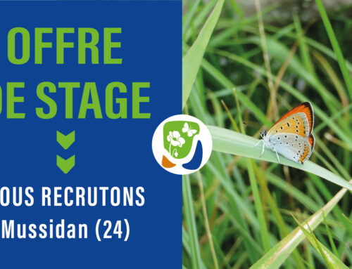 Offre de stage : Inventaires entomologiques et expertise forestière » H/F en Dordogne 