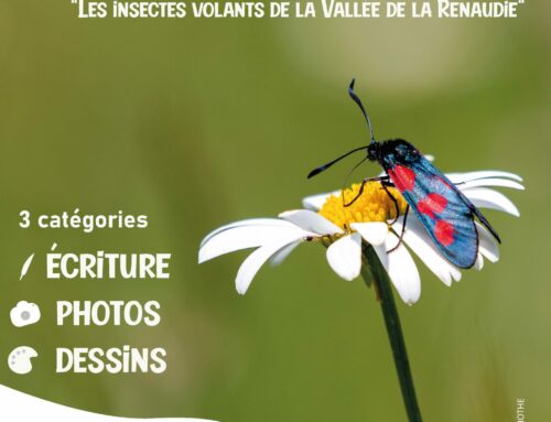Lancement du concours « une Réserve près de chez vous : la vallée de la Renaudie » 2023 (16)