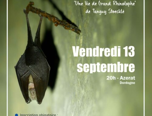 13/09/2024 Nuit de la Chauve-souris (24)