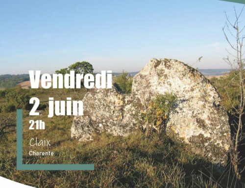 02/06/2023 Sortie crépusculaire Engoulevent d’Europe à Claix (16)