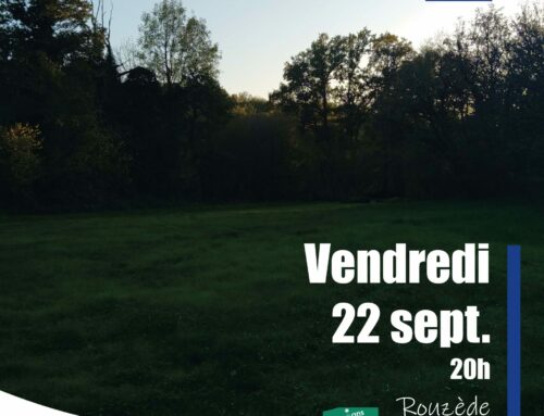 22/09/2023 Les chauves-souris de la Vallée de la Renaudie (16)