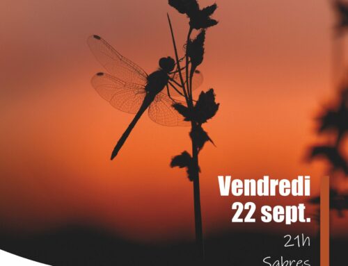 22/09/2023 ciné-débat l’appel des libellules à Sabres (40)