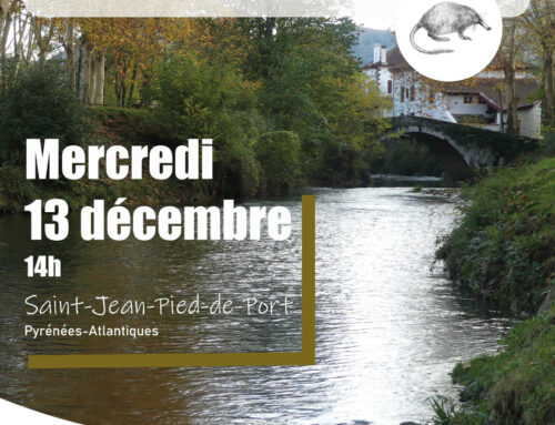 13/12/2023 Sensibilisation à la connaissance et la conservation du Desman des Pyrénées (64)