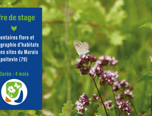 Offre de stage : Inventaires flore et cartographie d’habitats sur des sites du Marais poitevin à Niort (79)