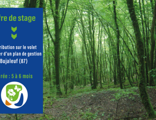 Offre de stage : Contribution sur le volet forestier du plan de gestion des Sources de la Combade au Suquet de la Grolle (Eymoutiers – 87)