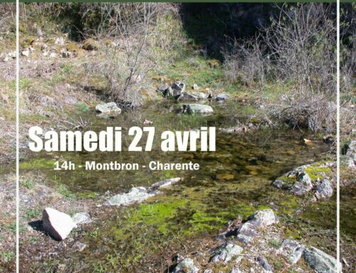 27/04/2024 Découverte des mares et des zones humides de la vallée de la Renaudie – Festival Le Val Sauvage (16)