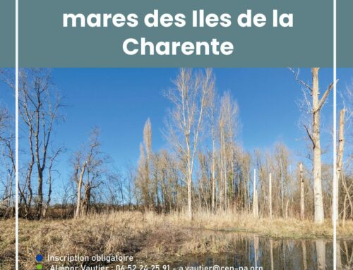 04/05/2024 A la découverte des mares des Iles de la Charente (16)