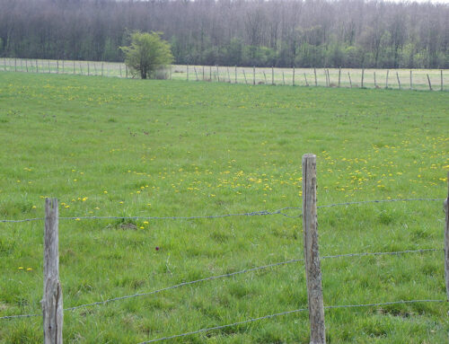 Acquisition de prairies sur la commune de Valdelaume (79)