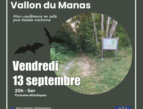 13/09/2024 Découverte de la biodiversité nocturne du Vallon du Manas (64)