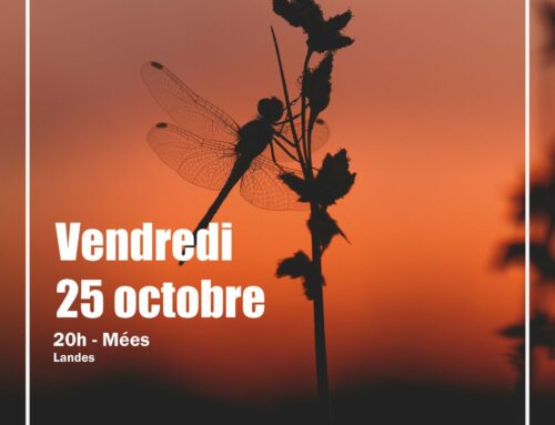 25/10/2024  Ciné-Nature : L’Appel des Libellules (40)