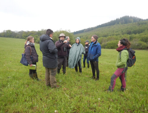 Site du Suquet de la Grolle (Eymoutiers) : programme « Forêt d’avenir » un partenariat pour la gestion durable des forêts