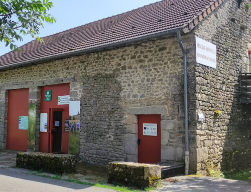 Accueil du public et Terra Aventura sur la RNN de la tourbière des Dauges