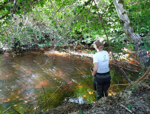 A la recherche du Castor sur les affluents du site Natura 2000 de la vallée de la Gartempe (87)