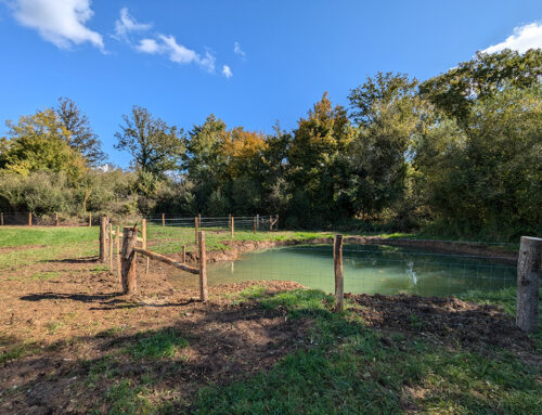 Fourniture et pose d’une clôture pastorale sur le site “Prairies de Lezay” en Deux-Sèvres (79)