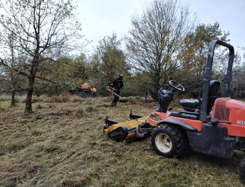 Débroussaillage de pelouses – Le Chillou (79)