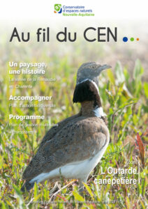 Au fil du CEN n°6