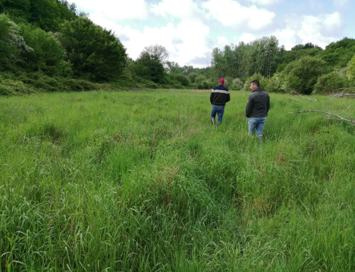 Val de Charente en Vienne : les deux premières acquisitions sur le Cornac et le Merdançon ! (86)