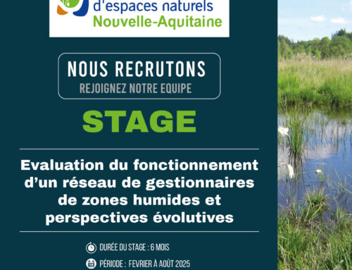 Offre de stage : Evaluation du fonctionnement d’un réseau de gestionnaires de zones humides et perspectives évolutives (87)