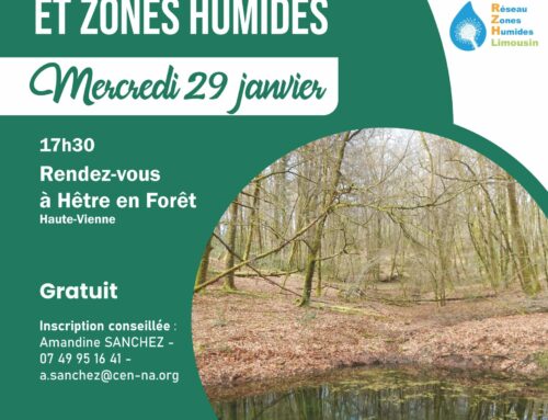 29/01/2025 Café-forêt : “mares forestières et zones humides” (87)