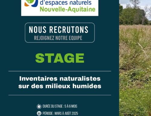 Offre de stage : Inventaires naturalistes sur des milieux humides – Angoulême (16)