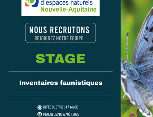 Offre de stage : Inventaires faunistiques – Dordogne (24)