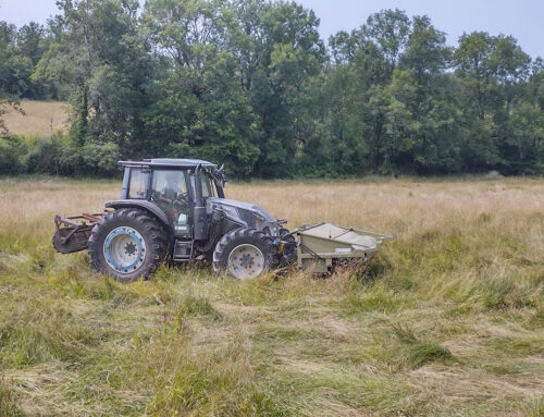 Dernières actualités des Zones humides du domaine de Pressac à Feytiat (87)