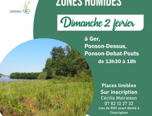 02/02/2025 Découverte des zones humides à VTT (64)