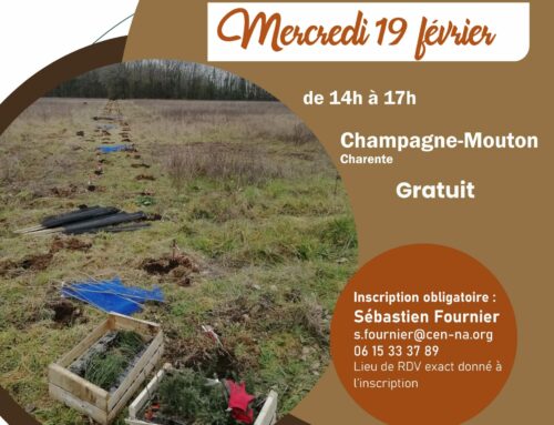 19/02/2025 Chantier d’entretien de haie (16)