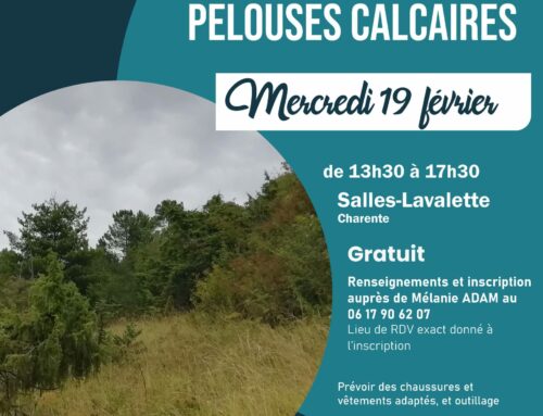 19/02/2025 Restauration de pelouses calcaires (16)