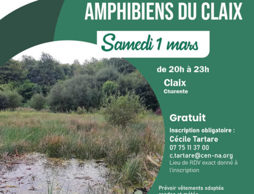 01/03/2025 Découverte des amphibiens du Claix (16)