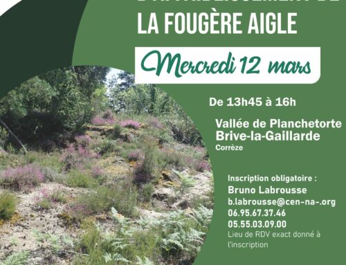 12/03/2025 Chantier de débroussaillage et d’affaiblissement de la Fougère aigle (19)