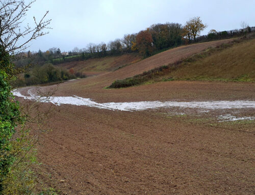 Acquisition de 19 ha sur la commune d’Exoudun (79)