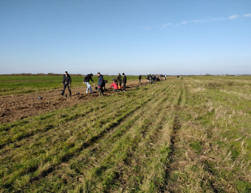 Une plantation de haie pour les 50 ans des ENS de Charente-Maritime !