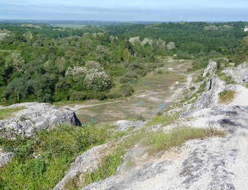 La RNR de Tercis-les-Bains retenue pour participer au projet “valeur ajoutée des Réserves Naturelles” (40)